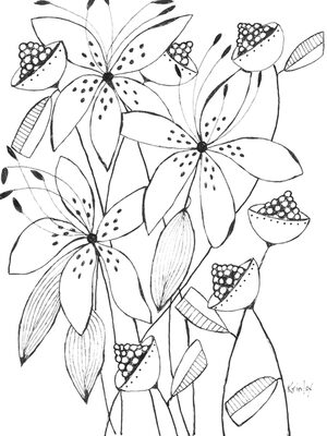Image Not Available